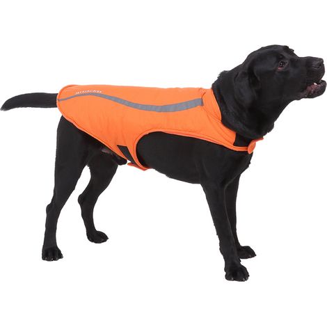 Manteau Chien Polaire Hiver Résistant Vent Neige Bande Réfléchissante Taille L (1/5)