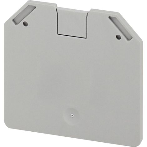 Cloison extremité 2 pts largeur 22mm pour borne à vis NSYTRV162 SCHNEIDER NSYTRAC162 (1/2)