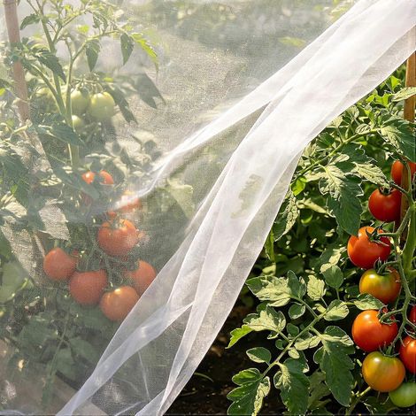 Filet de protection plantes 3m x 10m, barrière anti-insectes anti-oiseaux pour jardin, serre, terrasse, plates-bandes surélevées (1/5)