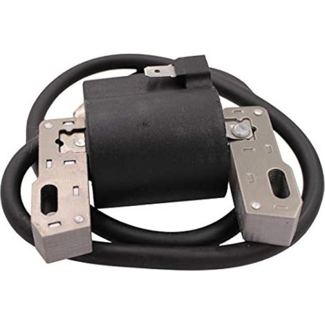 Bobine d'allumage magnétique pour moteurs Briggs & Stratton 591420, 793281, 793352, 792594, 395489, 398593 et 496914 (1/3)