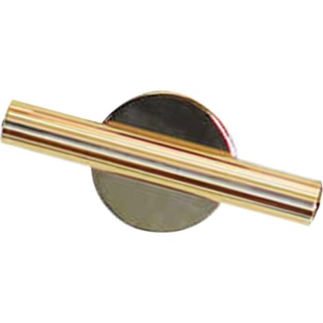 Vase en métal doré, design élégant et fonctionnel, tube mural pour fleurs séchées (1/5)