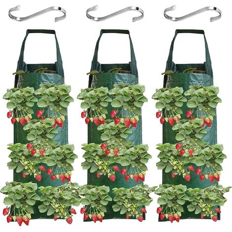 Sac de Plantation pour Fraise,3 Pièces Sacs de Culture à Fraises Suspendu,Sac de Plantation,avec 8 Trous,Sac de Culture Potager,Réutilisable pour Fraises,Légumes,Fleurs (1/5)