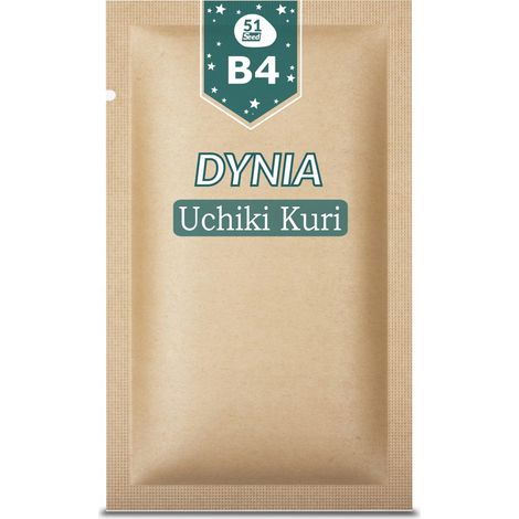 51Semi B04 ZUCCA GIGANTE UCHIKI KURI 5G