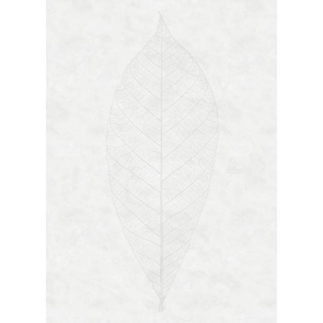 Papier peint panoramique classique Feuille Décente (1/4)