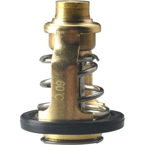 60ºC-Thermostat für Johnson 5033721 67F-12411-01-0 17670-90J00 Viertakt-Außenbordmotor