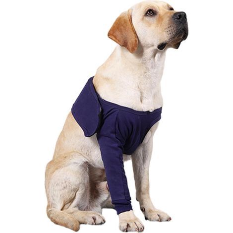 - Schutzhülle - Hundeaccessoire - Für Vorderpfoten - Nach Operationen - Schutz vor Lecken - Atmungsaktive Baumwolle - Blau - 25 x 15 cm (1/5)