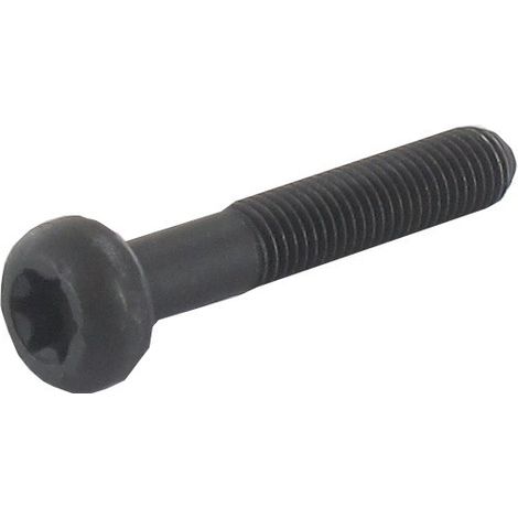 Vis de bielle BRIGGS ET STRATTON 791118