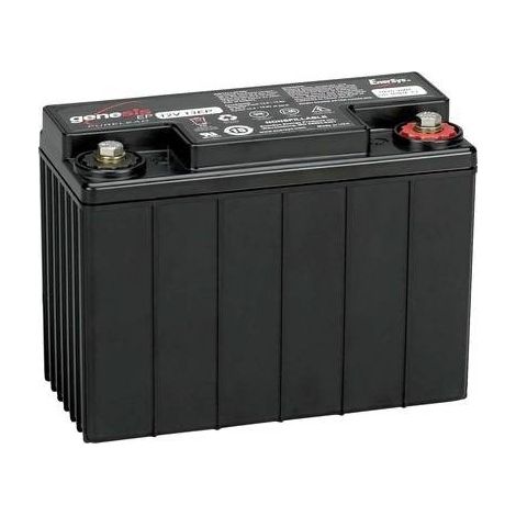 enersys Genesis 12EP13 batteria al piombo nera 13 Ah