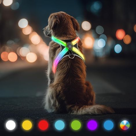 Harnais Lumineux LED pour Chien, 7 Modes d'Éclairage (1/5)