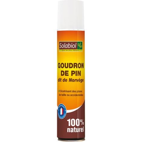 Solabiol Goudron de Pin Aérosol 200ml Transparent Protection (1/4)