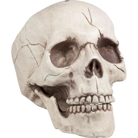 Halloween – Realistic Skull Decoration with Articulated Jaw (1/3)