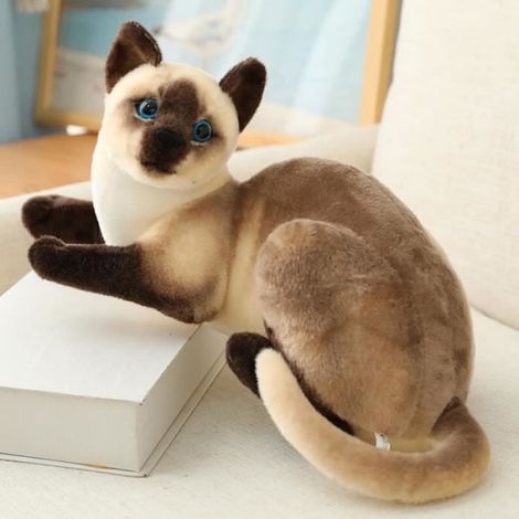 Siam - Chat en peluche doux au beurre pour enfants, Animal en peluche, Jouets de chaton, Dessin animé, Réel, (1/4)