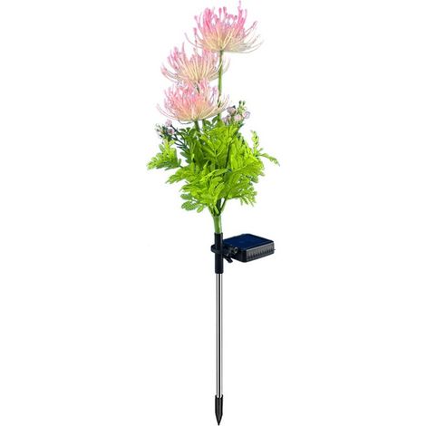 Lampe Jardin Solaire Rose, 2 Pièces Fleurs Lumiere Exterieur (1/5)