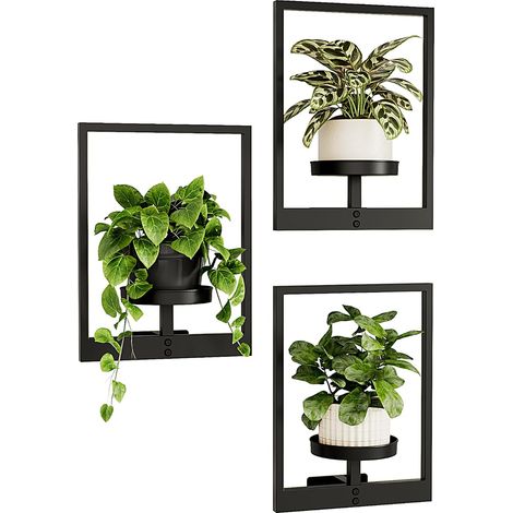 Support Plantes d'Intérieur Porte Plante Mural - Lot de 3 Étagères Suspendues pour Fenêtre avec Porte Pots Design, Présentoir Mural pour Pot de Fleurs et Décor Maison (Breveté) (1/5)