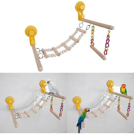 Support à ventouse pour perroquets, perchoir pour branches, support pour conures et inséparables (1/4)