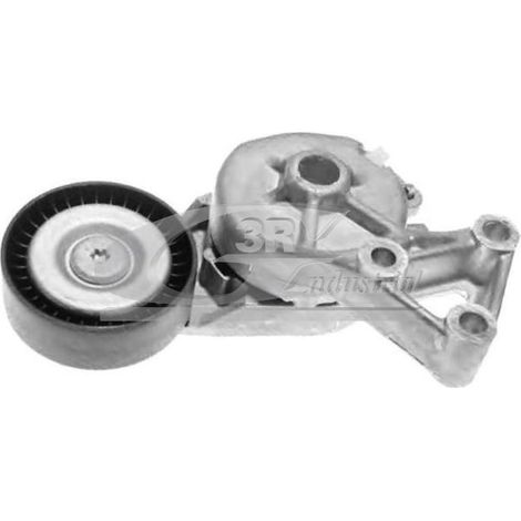 3RG 13702 RODILLO TENSOR