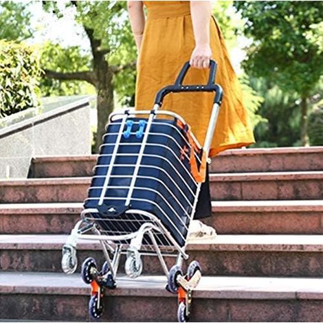 Chariot de Courses à 8 Roues avec Accoudoirs-Caddie d’Epicerie avec Sac Étanche Amovible Monte-escaliers en Structure en Alliage d'aluminium (40 x 45 x 105 cm) (1/5)
