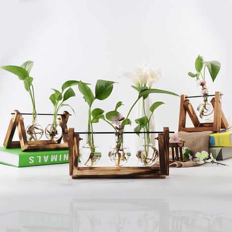 Vase ancien en verre, vase transparent pour plantes hydroponiques avec support en bois pour décoration de table. (1/5)