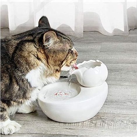 [French Days]Fontaine d’eau - En céramique - Avec lotus vertical et filtre automatique - Idéale pour chat et animal de compagnie - Blanc (1/5)