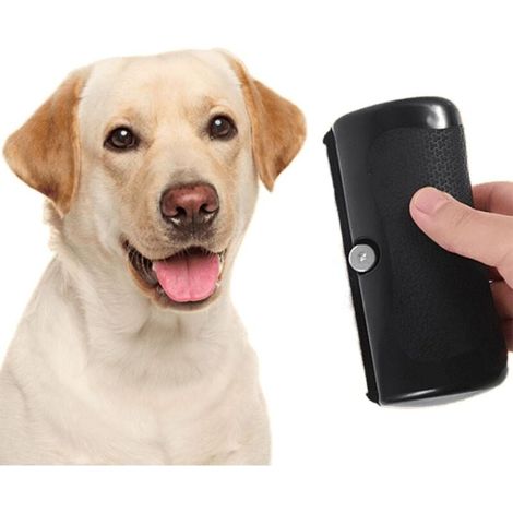 Spazzola per cani - Spazzola per peli di animali domestici - Accessori per cani e gatti a pelo lungo e corto - Districa in modo efficace e confortevole (1 pz) (1/4)
