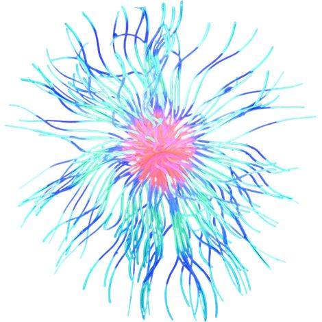 Ornement de corail artificiel lumineux en forme de fleur, décorations en gel de silice souple pour aquarium, phosphorescentes, plantes décoratives pour aquarium. (1/5)