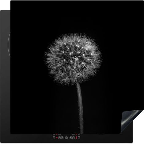 Induction Hob Protector Dandelion - Black - Floral - Botanical 78x78 cm