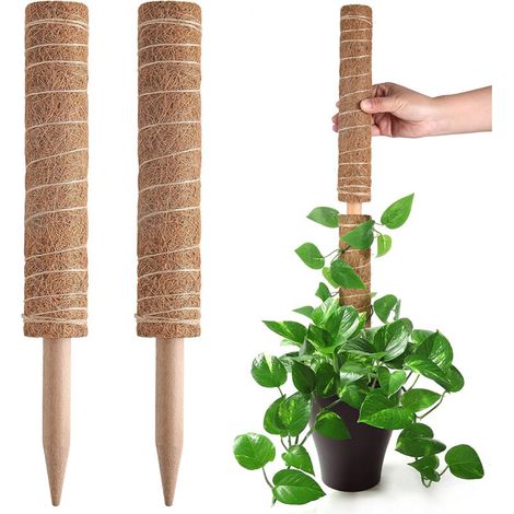 2 PC Moss Pole, Extendable Plant Sticks Support, Plant Stakes for Indoor Potted Plant, 40cm Coco Potted Plant Trellis for Pothos and Other Climbing Plants (1/5)