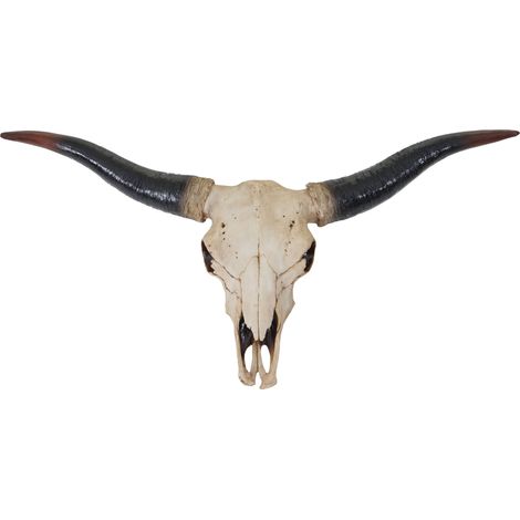 Decorazione trofeo teschio artificiale realistico da parete HHG-929 poliresina longhorn 75cm
