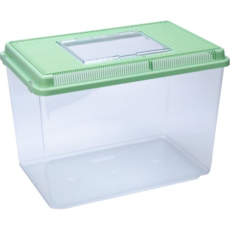Ferplast GEO Contenitore per piccoli animali, pesci, tartarughe e insetti. Variante MAXI - Misure: 41.3 x 26 x h 29.8 cm - 21 L - Verde chiaro (1/2)