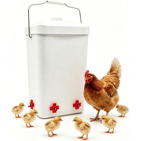 Hanging Water Dispenser for Hens  Metal Handle, 4 Valves, PP Tank, Suitable for Chicken Coop, Automatic Poultry Drinker (1/5)