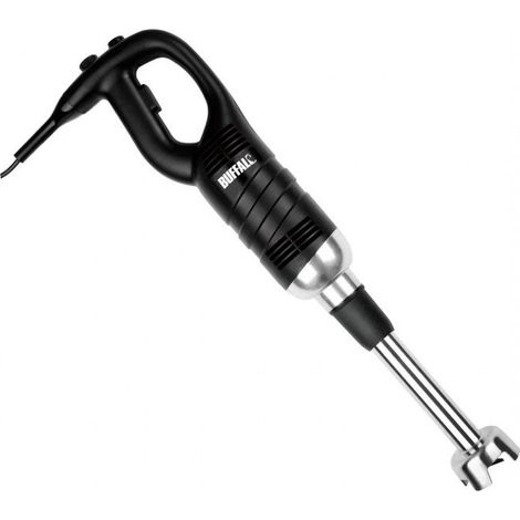 Mixeur inox plongeant (L)300 mm 500 W, 220 V - MONO (1/5)