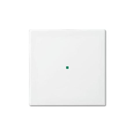 Busch-Jaeger 6230-10-914 Wippe 1-fach, ohne Bedruckung (1/5)