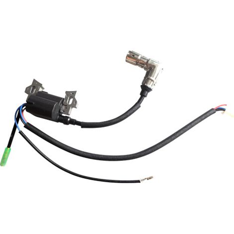 Ersatz Zündspule 30400-Z5N0111 R für Inverter Stromerzeuger (1/3)