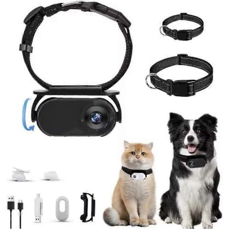 Ecleanfy - Catcam Pro, Cat Cam Pro 2.0, Mini caméra collier vidéo HD 1080p - Parfaite (1/5)