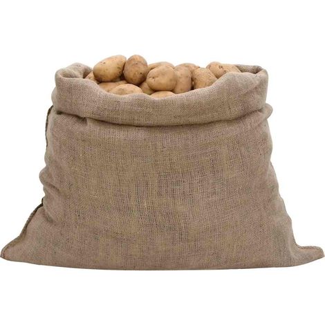 Sacs en jute 10 pcs 100x110 cm 100 % jute 220 g/m² (1/5)