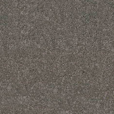 Moquette Chromaluxe - Marron foncé - Rouleau de 4m x 3m