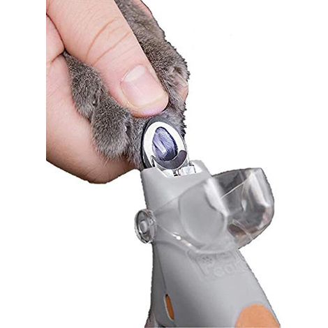 Kit de manucure anti-sang avec lampe LED, coupe-ongles pour chats et chiens, ciseaux à griffes, outils de toilettage et de nettoyage pour animaux