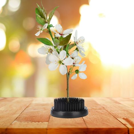 Aiguille Kenzan ronde noire pour Ikebana, épingle à fleurs, outil de fixation pour la décoration florale (60 mm) (1/5)