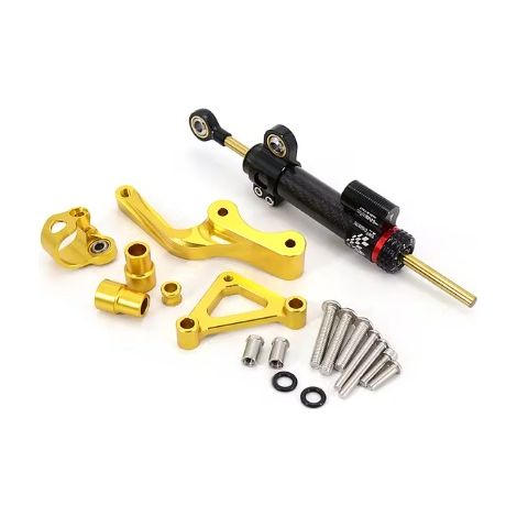 Ducati Monster 1100S 2018 - Kit de conversion pour moto : amortisseur de direction en titane pour une meilleure stabilité. (1/4)
