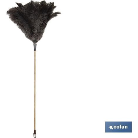 Plume d'autruche Classe A avec manche en bois (1/4)