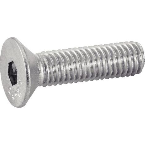 Acton Viti metalliche Acciaio inossidabile 30 mm 8 mm