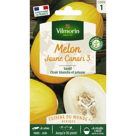 Melon jaune canari 3 – Période de semis : avril à juin – Fruits ovales jusqu'à 1,5 kg – Chair blanche, juteuse et sucrée – Vilmorin