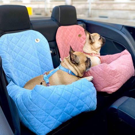 Hundeautositz in Roségold (1/5)