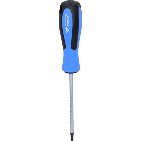 Brilliant Tools Schraubendreher TX, T20 x 100 mm