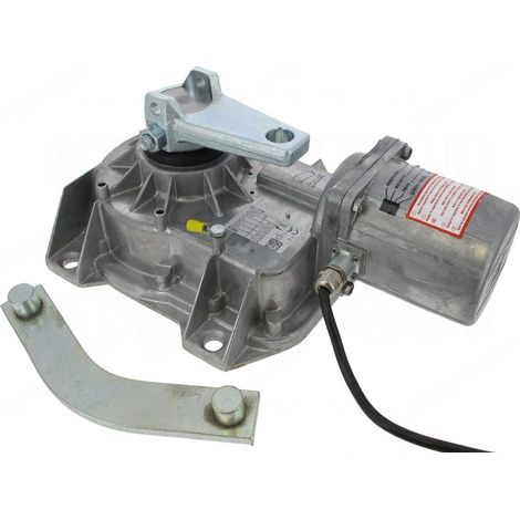 CAME 001FROG-A FROG-A Motore Attuatore Interrato 230v Per Cancello Anta Battente
