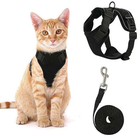 Pettorina per gatti con guinzaglio, riflettente, regolabile, taglia XS, nera.