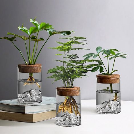 Pflanzstationen Tisch Terrarium mit Holztablett und Deckel für den Anbau von Hydrokulturpflanzen Dekoration für Büro und Zuhause Pflanzen nicht e (1/5)