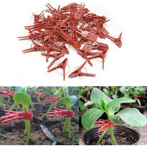 100PCS Clips de greffe de plantes Clips de greffe en plastique Clips de plantes de jardin pratiques, (1/4)