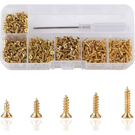 Petites Vis a Bois 1000 piéce Mini Vis Autotaraudeuses M2 Vis Tête Plate Micro Visserie, Vis dorées de Petites (5-10mm) (1/5)