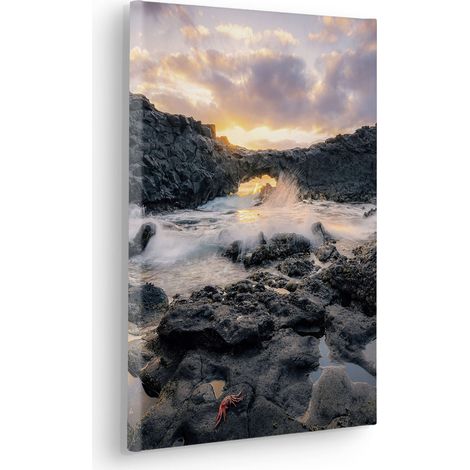 Komar Canvasbild Golden Eye - 40 x 30 cm - Bild auf Keilrahmen - Naturmotiv (1/2)